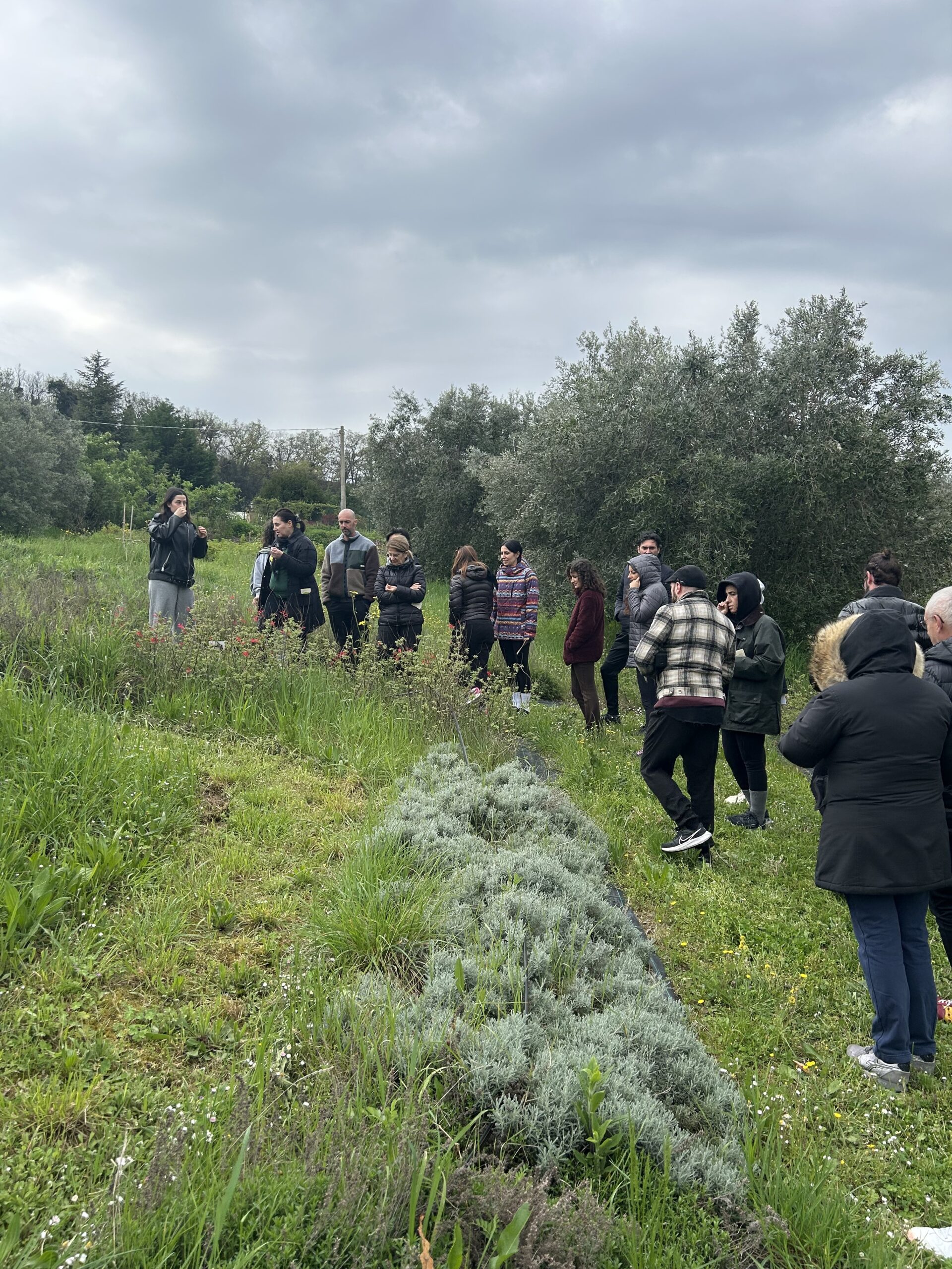 Passeggiata consapevole
