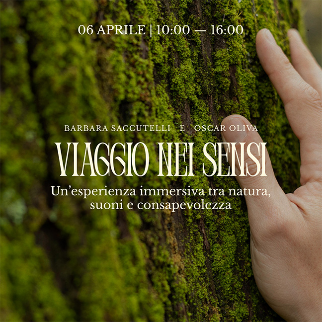 Viaggio nei sensi